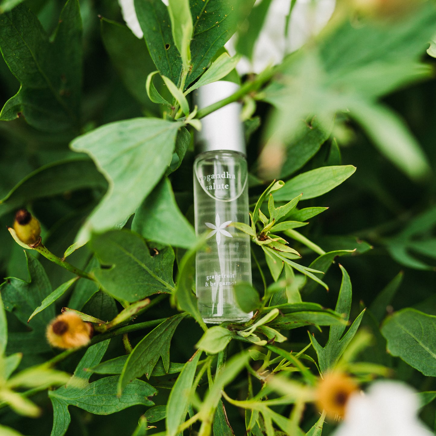 Best essential oils for energy