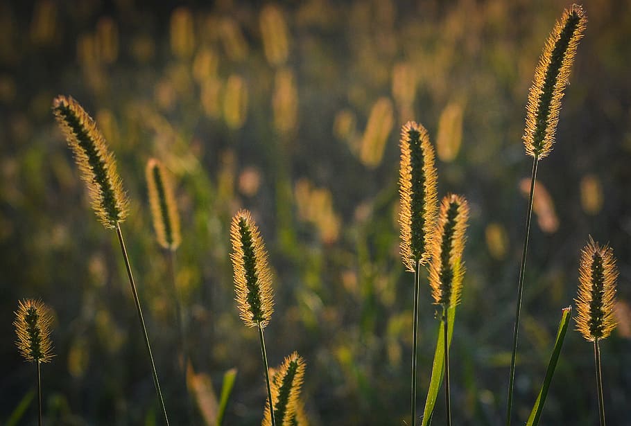 5 ways to beat Spring Allergies