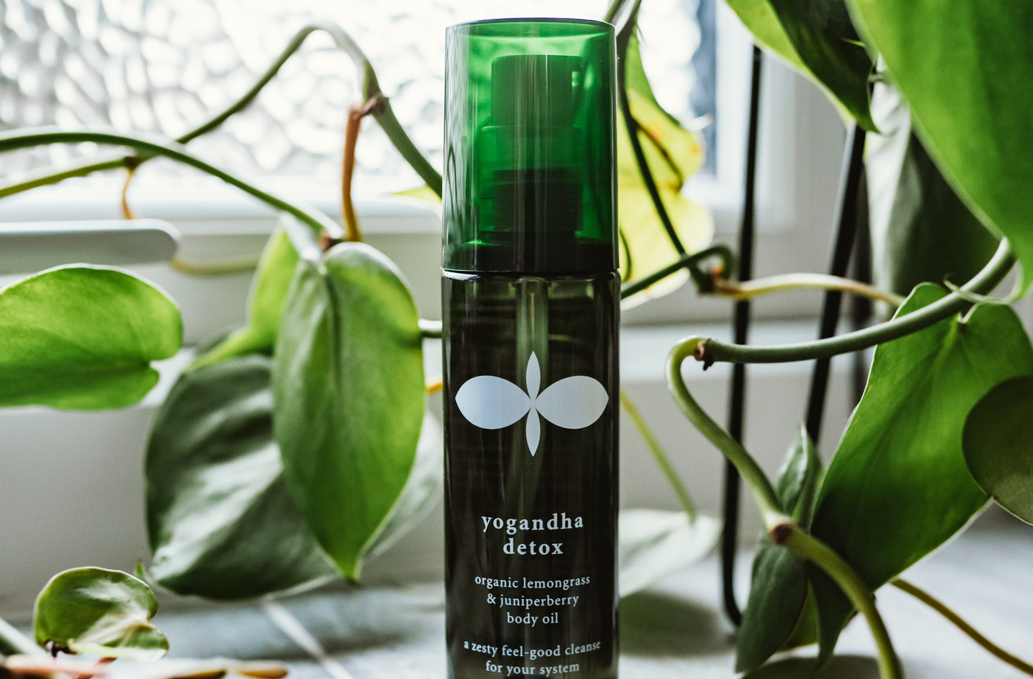 5 ways to use your Yogandha Detox Oil
