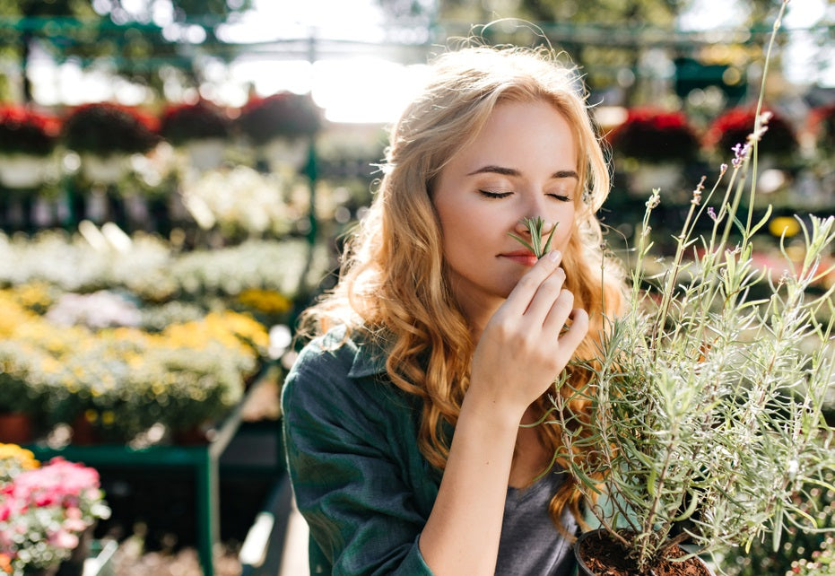 What happens when we smell essential oils?