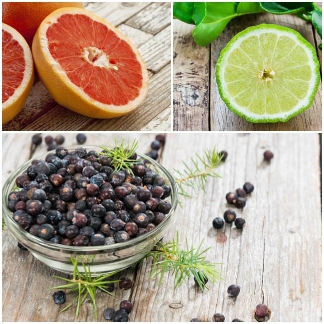 
                  
                    juniper berries, bergamot
                  
                