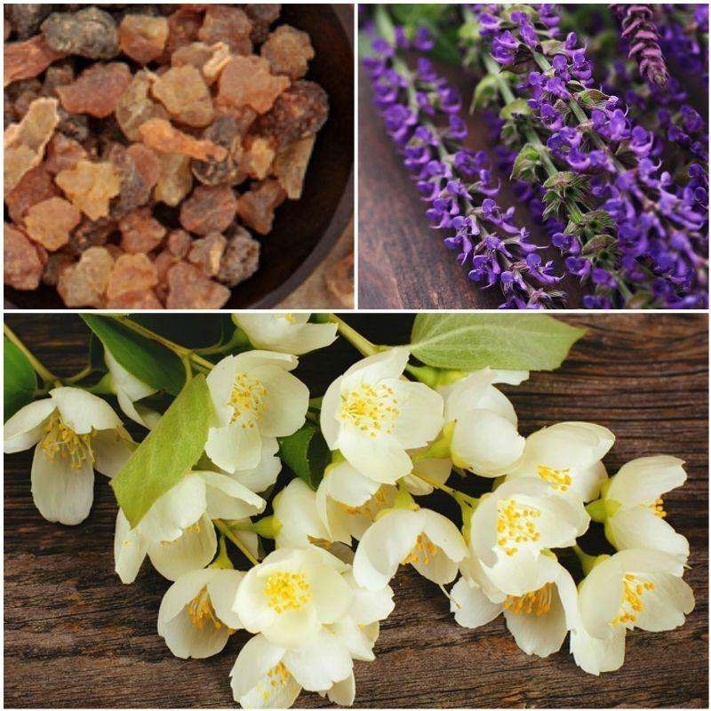 
                  
                    lavender and other essential oils yogandha
                  
                