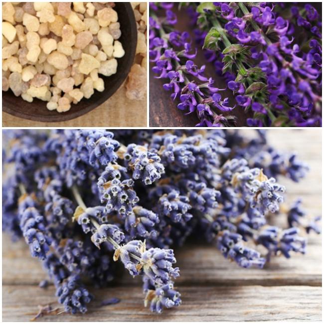 
                  
                    lavender relax mindfulness
                  
                