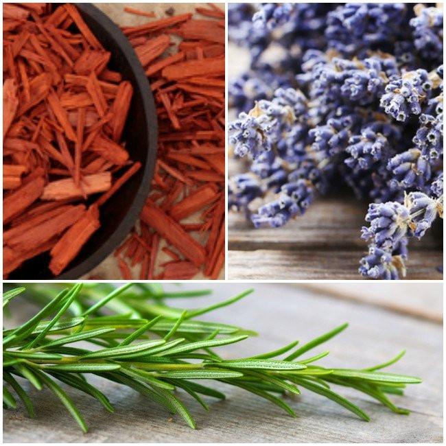 
                  
                    sandalwood, lavender and cypress
                  
                
