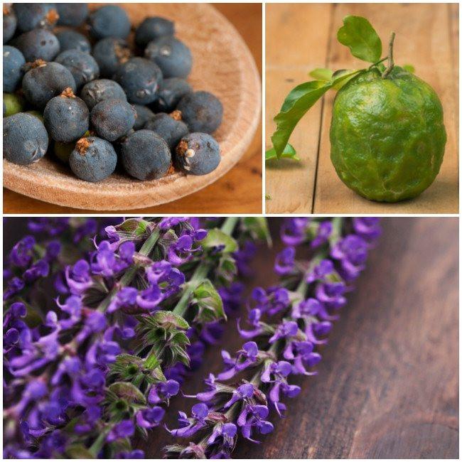 
                  
                    Yogandha Detox
                  
                